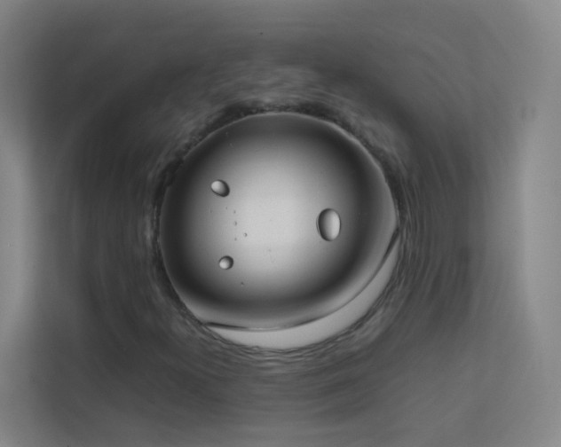 X0000113871300200909241324