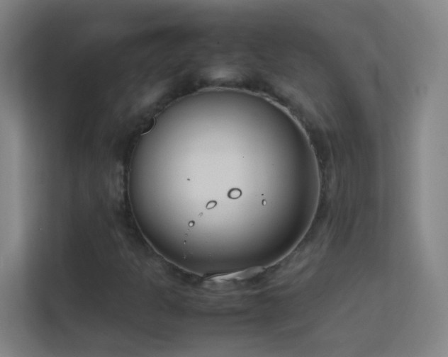 X0000113871301200909241324