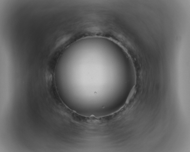 X0000113871302200909241324
