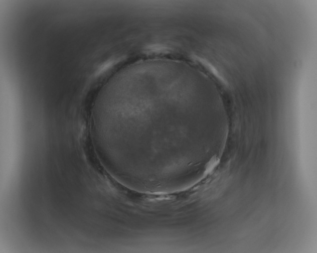 X0000113871303200909241324