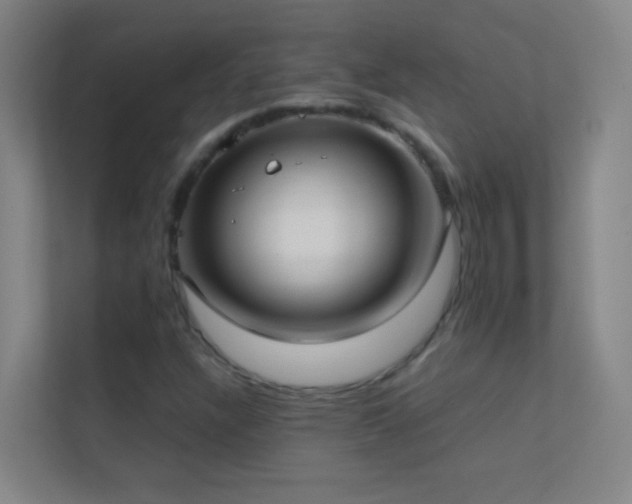X0000113871304200909241324