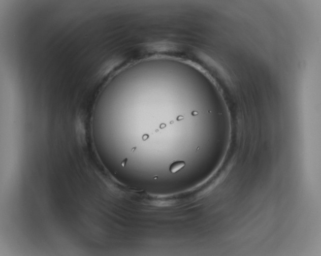 X0000113871305200909241324