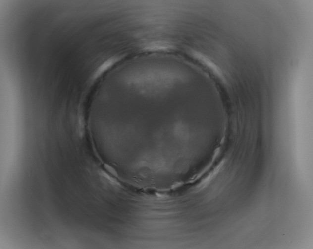 X0000113871306200909241324
