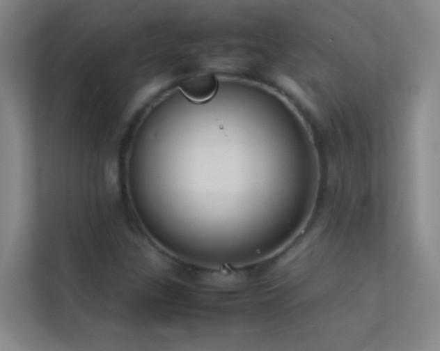 X0000113871307200909241324