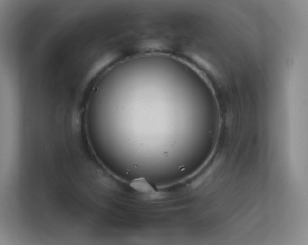 X0000113871309200909241324