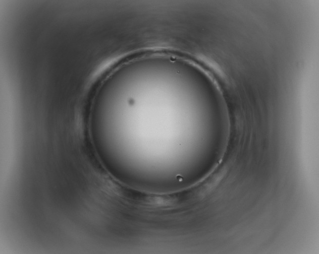 X0000113871311200909241324