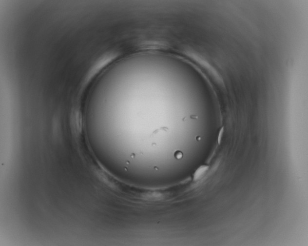 X0000113871317200909241324