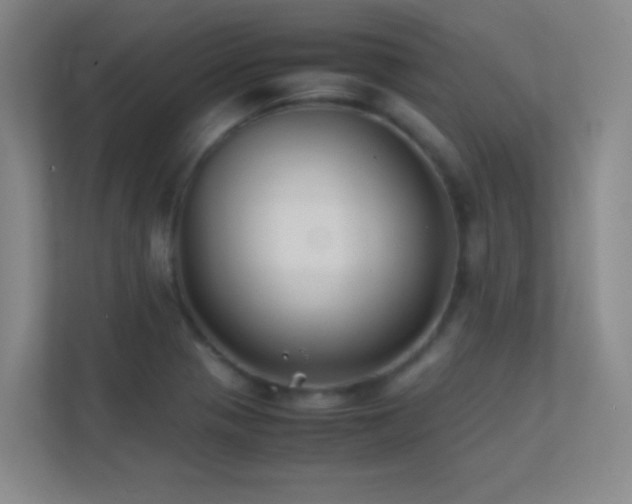 X0000113871321200909241324
