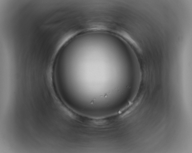 X0000113871325200909241324