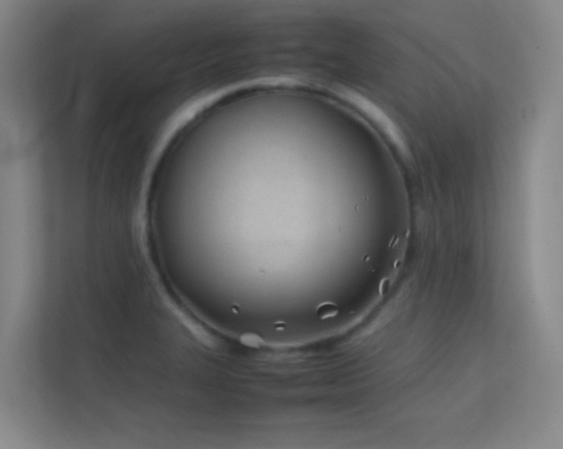 X0000113871327200909241324