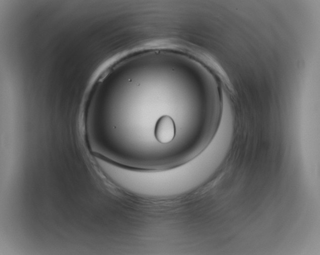 X0000113871328200909241324