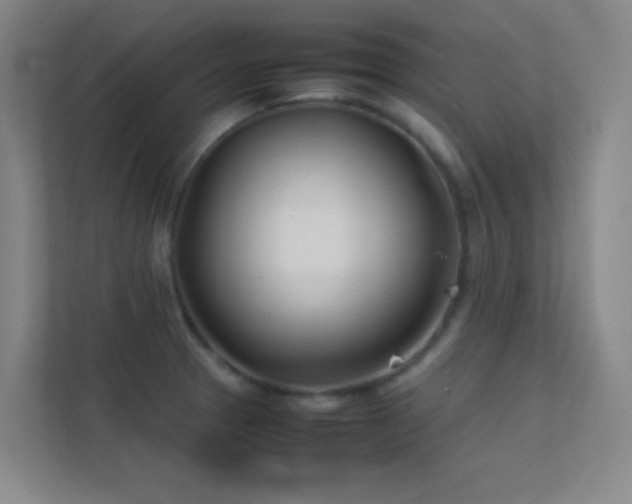 X0000113871329200909241324