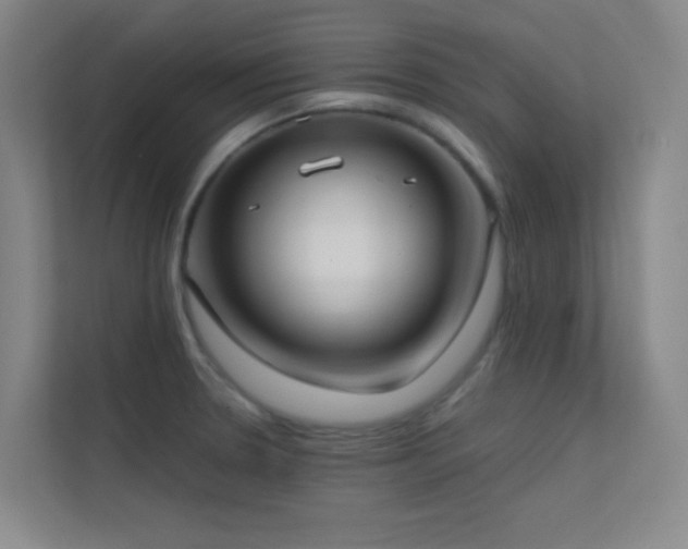 X0000113871330200909241324