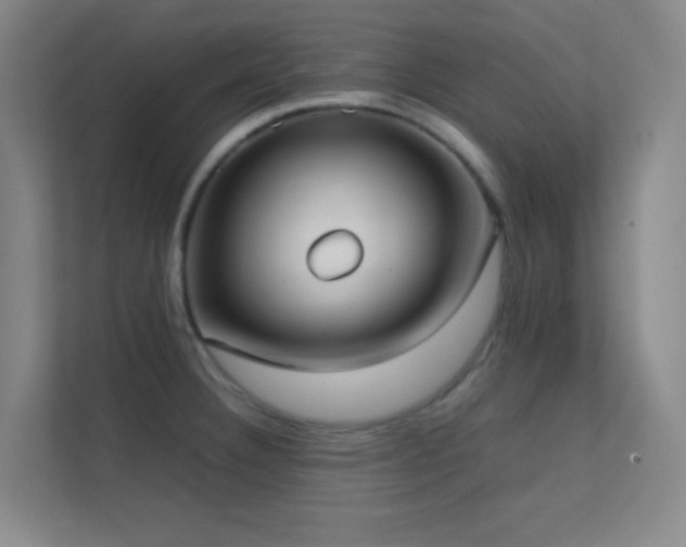 X0000113871332200909241324