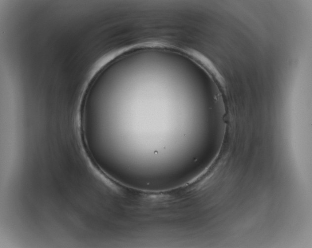 X0000113871335200909241324