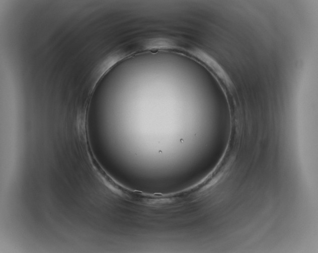 X0000113871337200909241324
