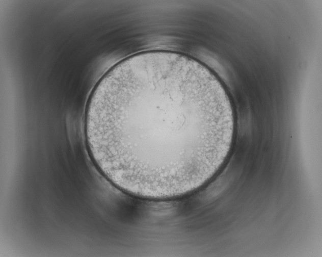 X0000113871338200909241324