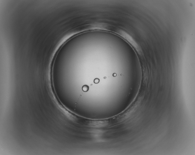 X0000113871339200909241324