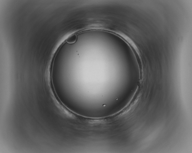 X0000113871341200909241324