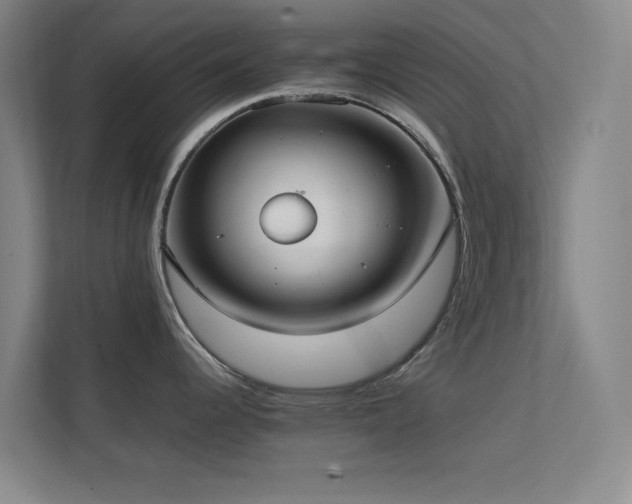 X0000113871344200909241324