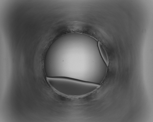 X0000113871345200909241324