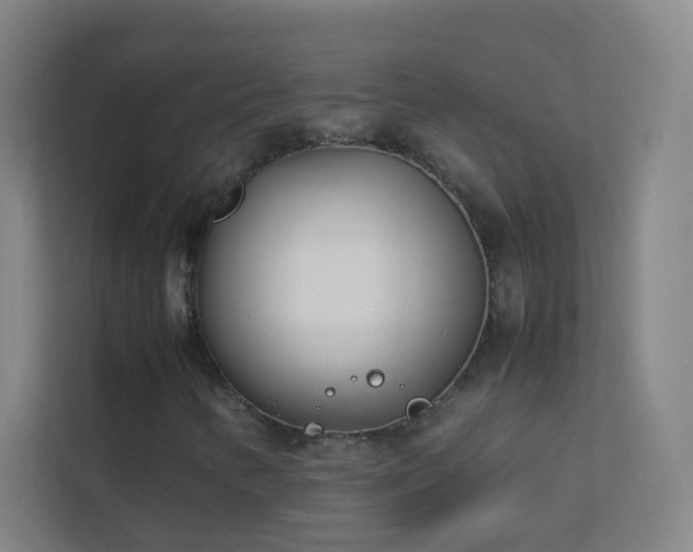 X0000113871346200909241324