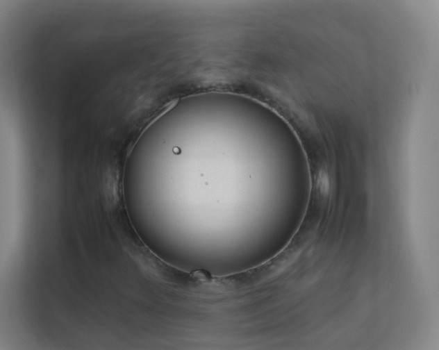 X0000113871348200909241324