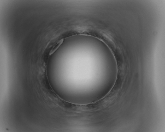 X0000113871349200909241324