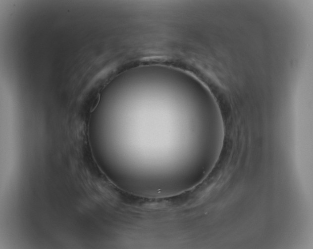 X0000113871351200909241324
