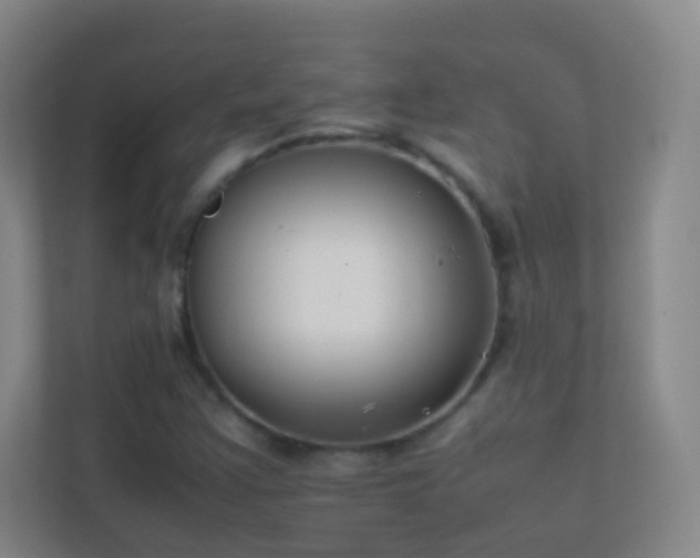 X0000113871355200909241323