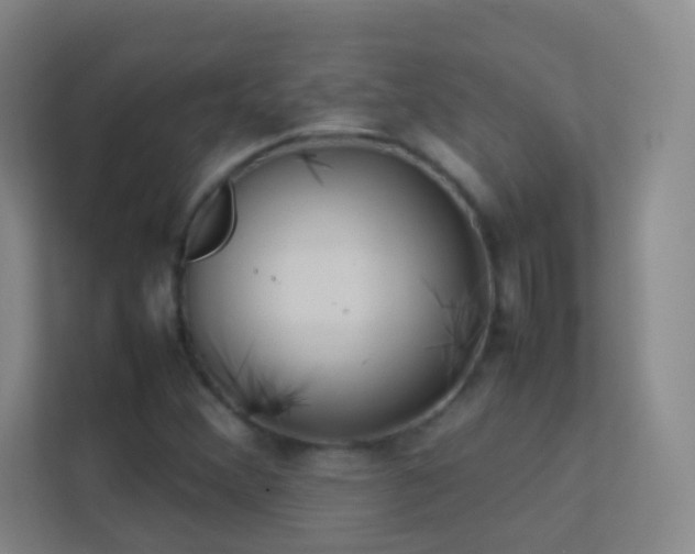 X0000113871356200909241323