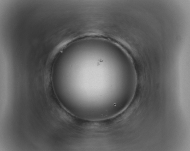 X0000113871359200909241323
