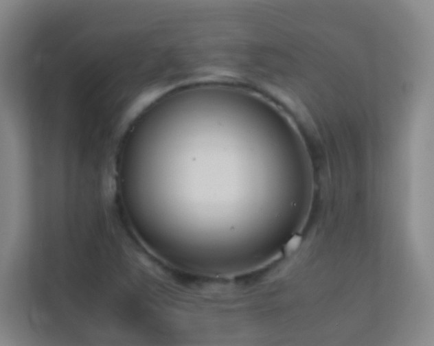 X0000113871363200909241323