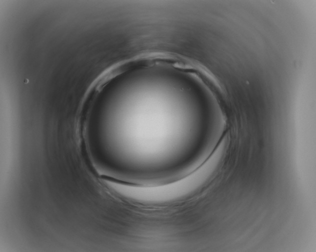 X0000113871364200909241323