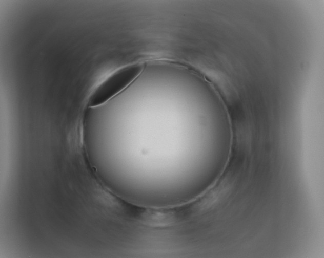 X0000113871365200909241323