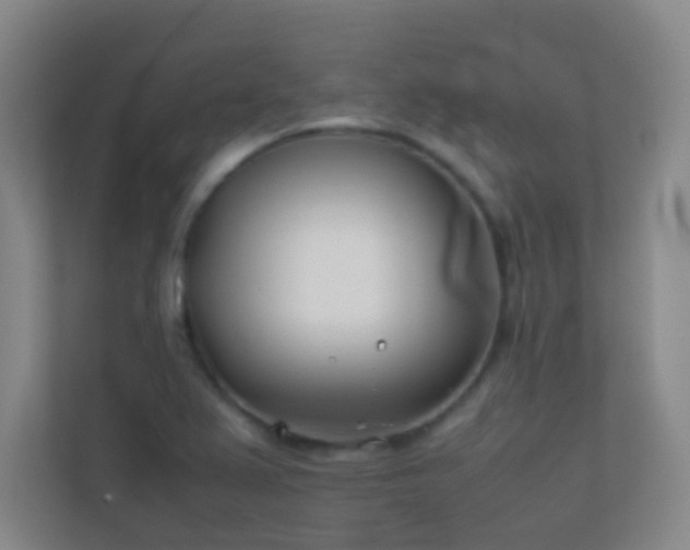 X0000113871367200909241323
