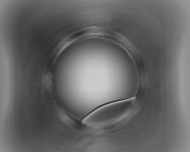 X0000113871369200909241323