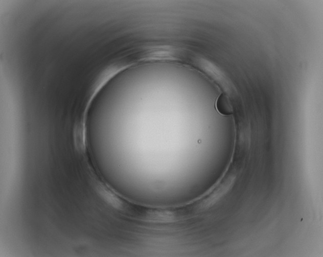 X0000113871370200909241323