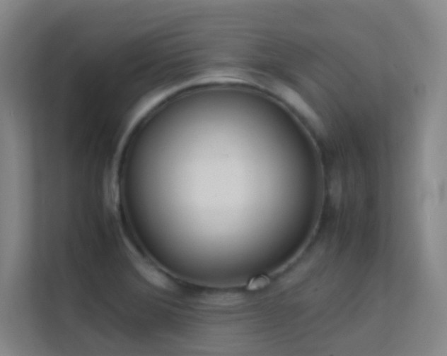 X0000113871372200909241323