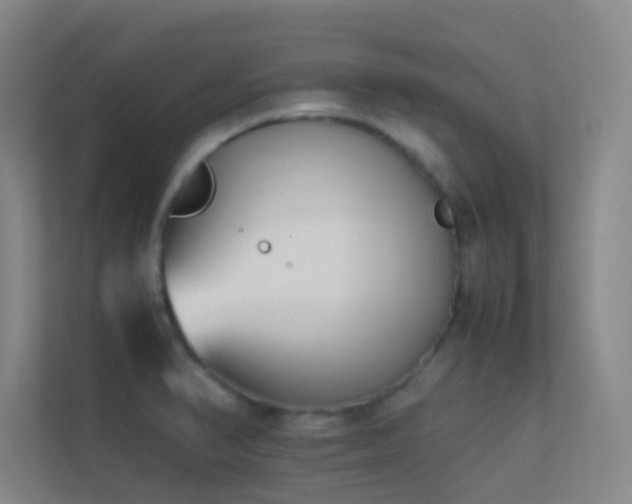 X0000113871374200909241323