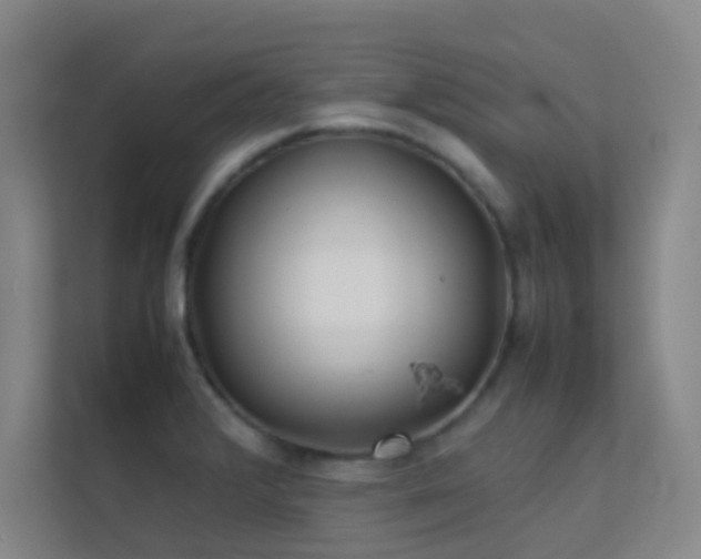 X0000113871376200909241323