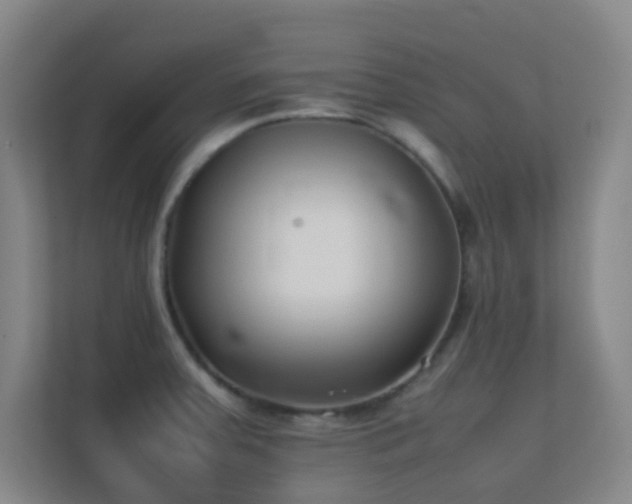 X0000113871379200909241323