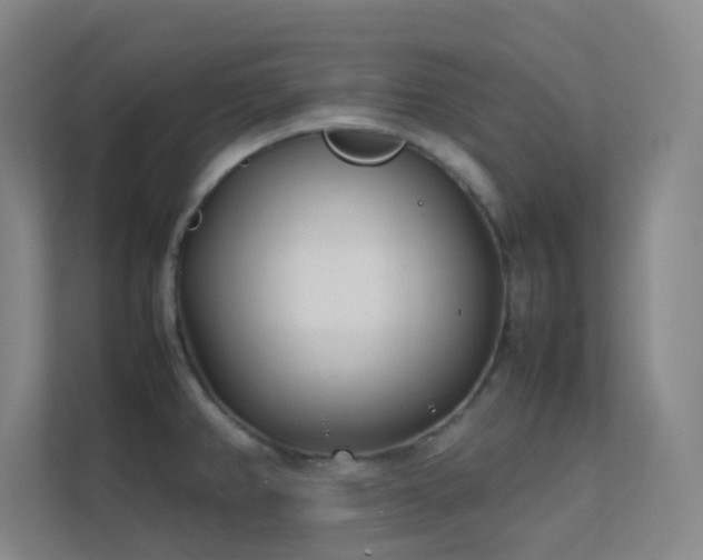 X0000113871382200909241323