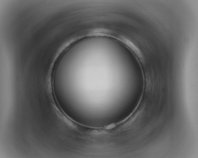 X0000113871384200909241323