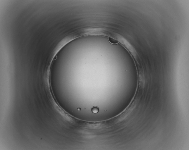 X0000113871386200909241323