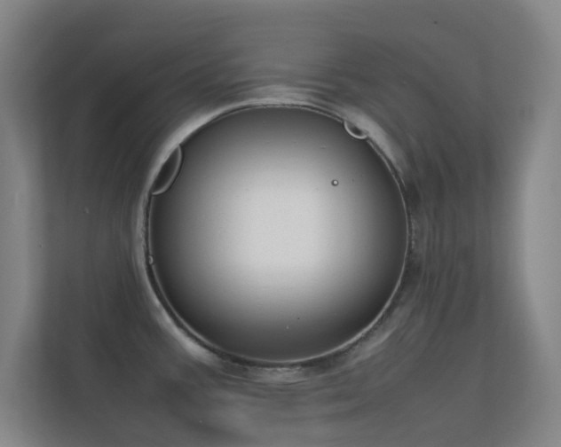 X0000113871387200909241323