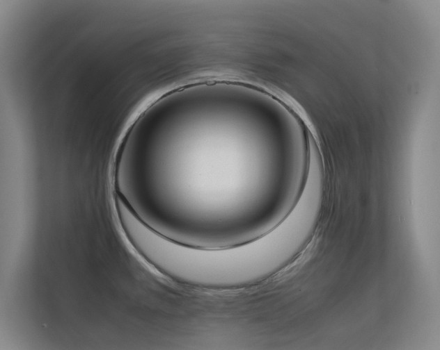 X0000113871389200909241323