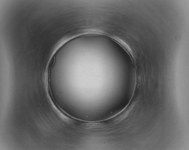 X0000113871391200909241323