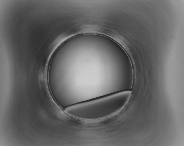 X0000113871392200909241323