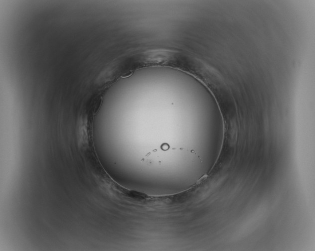 X0000113871394200909241322